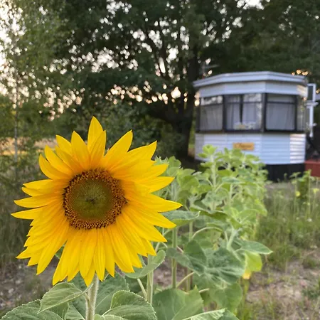 Hébergement de vacances Ostoja Lucien